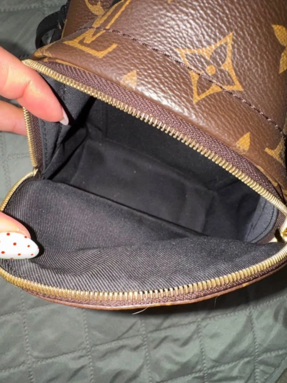 Louis Vuitton palm spring mini backpack